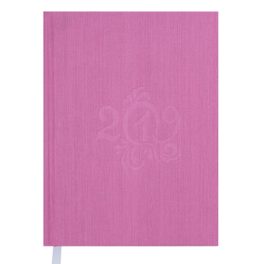 Щоденник датований Buromax 2019 Actual A5 Світло-рожевий (BM.2177-43)