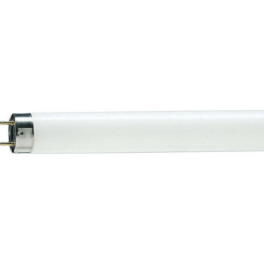 Люмінесцентна лампа Philips TL-D G13 1500mm 58W/33-640 1SL/25 (928049003351)