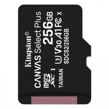 Карта пам'яті microSD 256GB C10 UHS-I R100/W85MB/s Kingston (SDCS2/256GBSP)