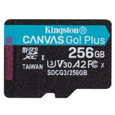 Карта пам'яті microSD 256GB C10 UHS-I U3 Kingston (SDCG3/256GBSP)