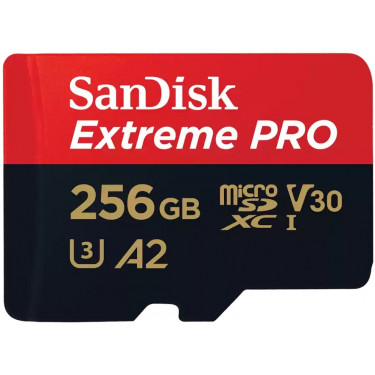 Карта пам'яті microSD 256GB C10 UHS-I U3 SanDisk (SDSQXCD-256G-GN6MA)