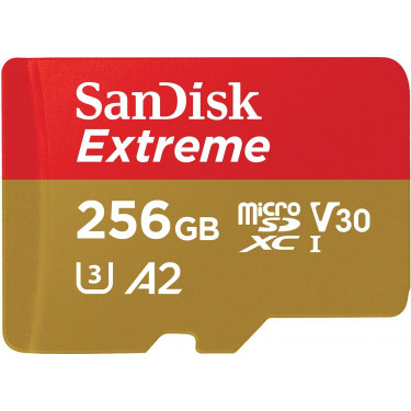 Карта пам'яті 256GB microSD C10 UHS-I U3 SanDisk (SDSQXAV-256G-GN6MA)