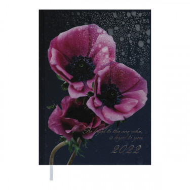 Щоденник датований 2022 А5, поліграфічна обкладинка, фіолетовий Posh Buromax (BM.2118-07)