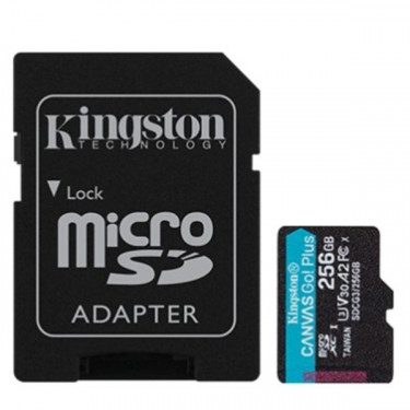 Карта пам'яті 256GB microSDXC C10 UHS-I U3 A2 R170/W90MB/s + SD адаптер Kingston (SDCG3/256GB)