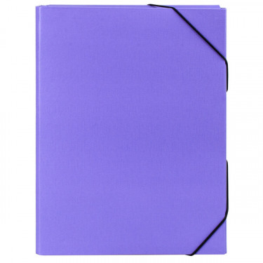 Папка-бокс на гумках, 50 мм, фіолетова H-Tone (JJ409342-purple)