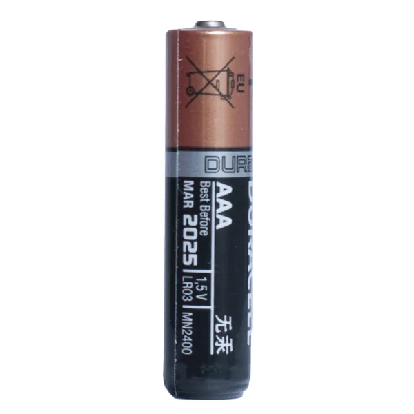 Батарейка щелочная AAA LR03 MN2400, Duracell (цена за 1 шт) - Фото 1