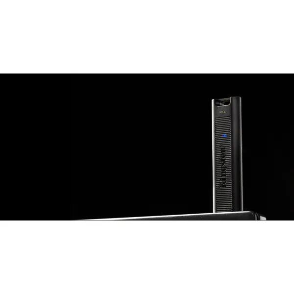 Накопитель USB 3.2 Type-C 256GB Gen 2 DT Max Kingston (DTMAX/256GB) - Фото 1