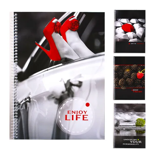 Тетрадь для записей на пружине А4, 50 л., клетка, офсет Notebook КП Плюс Mizar (Ц262024У_ЗСБ-50) - Фото 4