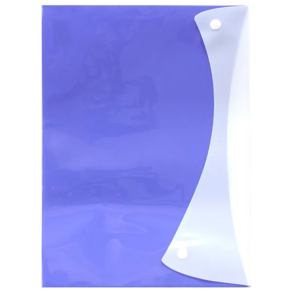 Папка-конверт на кнопках А4, фіолетова H-Tone (JJ409303-purple) - Фото 1