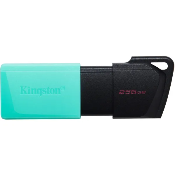 Накопитель USB 3.2 Type-A 256GB Gen1 DT Exodia M Kingston (DTXM/256GB)