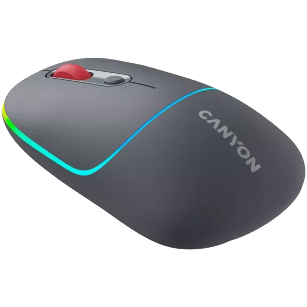Мышь беспроводная оптическая MW-22 темно-серая Canyon (CNS-CMSW22DG) - Фото 4