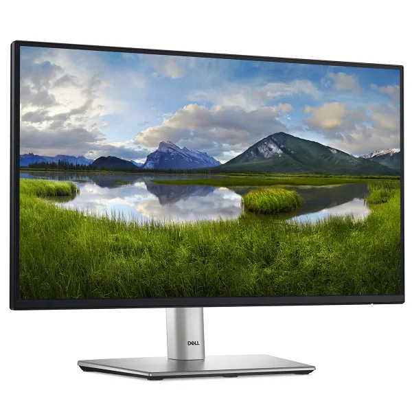 Монитор 21.5" P2225H D-Sub, HDMI, DP, USB3.2, IPS, 100Hz, sRGB 99%, Pivot DELL (210-BMHD) - Фото 1