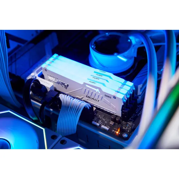 Пам'ять ПК 32GB, DDR5 Kingston (KF560C36BWEA-32) - Фото 2