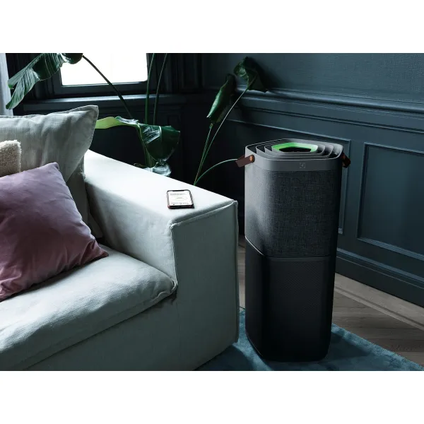 Очиститель воздуха PA91-604DG Electrolux (PA91-604DG) - Фото 4