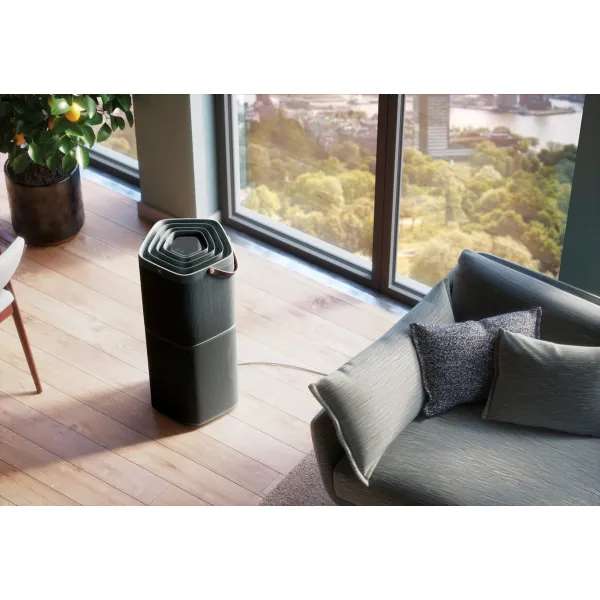 Очиститель воздуха PA91-604DG Electrolux (PA91-604DG) - Фото 8