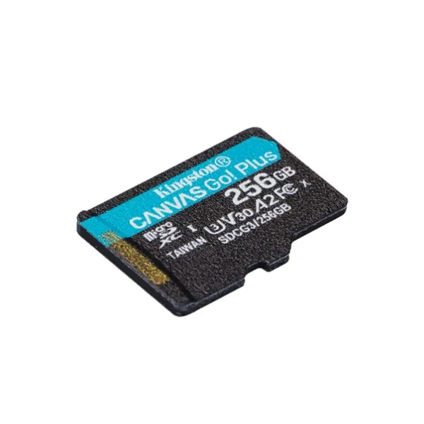 Карта пам'яті microSD 256GB C10 UHS-I U3 Kingston (SDCG3/256GBSP) - Фото 1