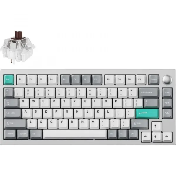 Клавиатура WL/BT/USB-A механическая, RGB P1 Pro, Keychron Super Brown, Hot-Swap, EN/UKR, Space Silver Lemokey (P1P-X3-UA)
