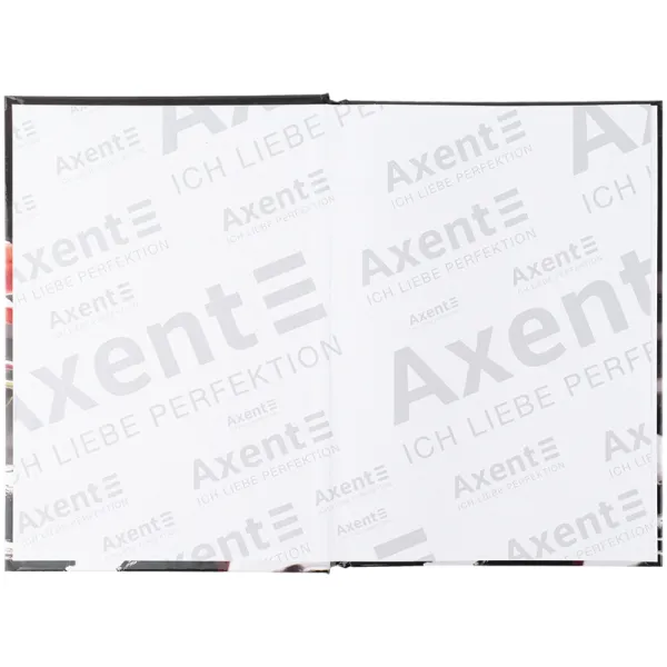 Книга записна тверда обкладинка А5, 96 арк, клітинка, R&B Flower Axent (8457-7-a) - Фото 2