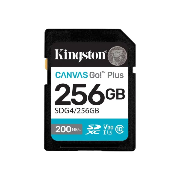 Карта памяти 256GB SD C10 UHS-I U3 V30 R200/W160MB/s Kingston (SDG4/256GB)