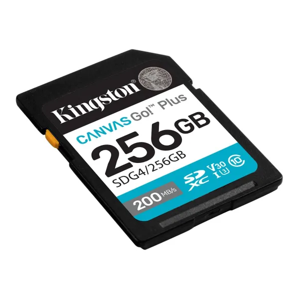 Карта памяти 256GB SD C10 UHS-I U3 V30 R200/W160MB/s Kingston (SDG4/256GB) - Фото 1