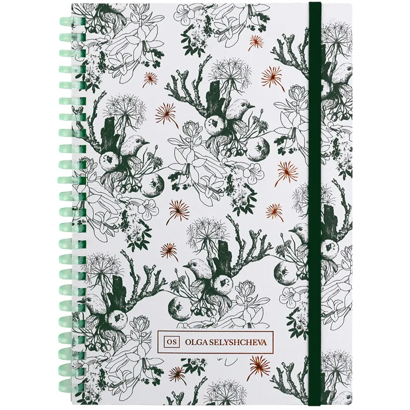 Блокнот на спирали картонная обложка, А5, 80 л, клетка, OS Green birds Axent (8471-3-A-OS) Блокнот на спирали картонная обложка, А5, 80 л, клетка, OS Green birds Axent (8471-3-A-OS)