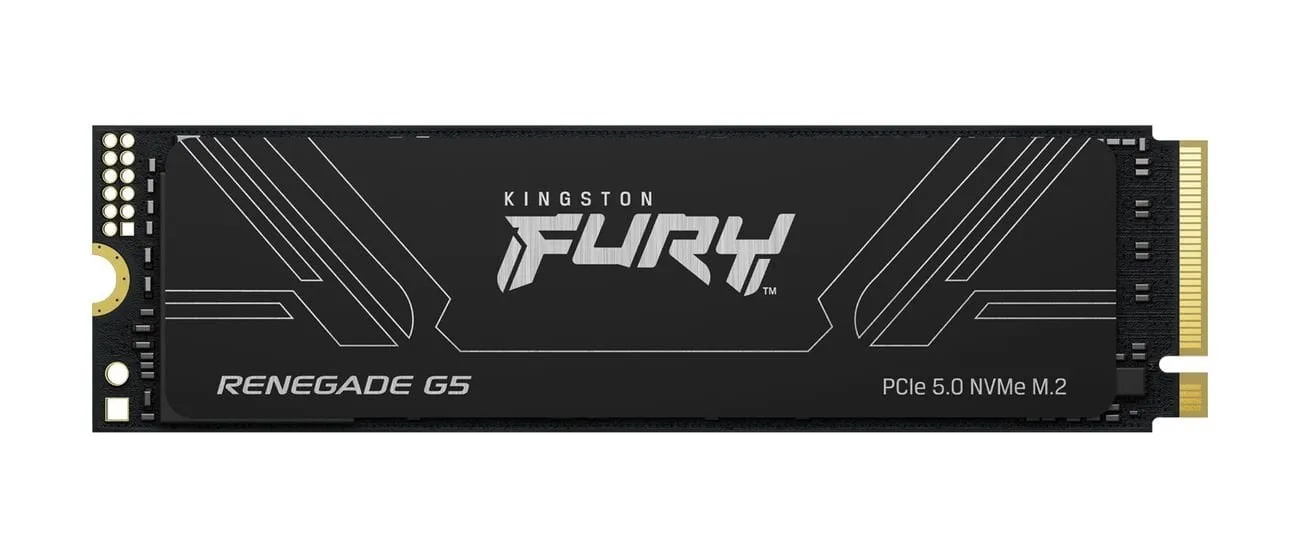 Накопитель SSD M.2 1TB PCIe 5.0 FURY Renegade Kingston (SFYR2S/1T0) Накопитель SSD M.2 1TB PCIe 5.0 FURY Renegade Kingston (SFYR2S/1T0)