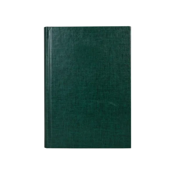 Ежедневник недатированный Basic, зеленый, А5 Economix (E22028) - Фото 1