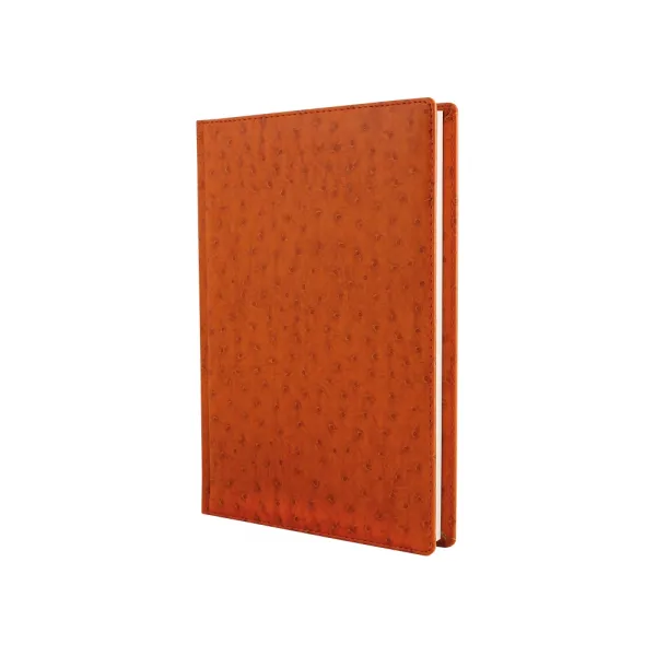 Щоденник недатований Ostrich, коричневий, А5 Optima (O25414-07) - Фото 1