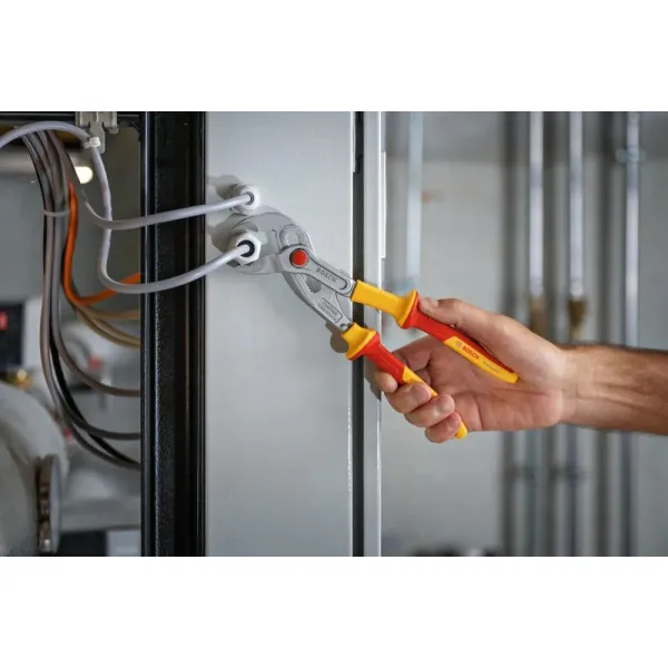 Клещи сантехнические Professional, 250 мм, Bosch (1.600.A02.NE5) - Фото 1