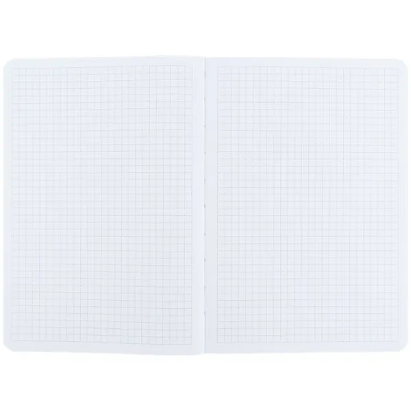Книга записная A5, 80 л, клетка, TR, Nature`s Melody 3 Axent (8700-22-A-TR) - Фото 3