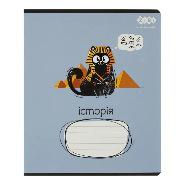 Набор тетрадей учащихся общих, 10 штук, 8 предметов, CRAZY CAT, 48 л ZiBi (ZB.1703-99) - Фото 7