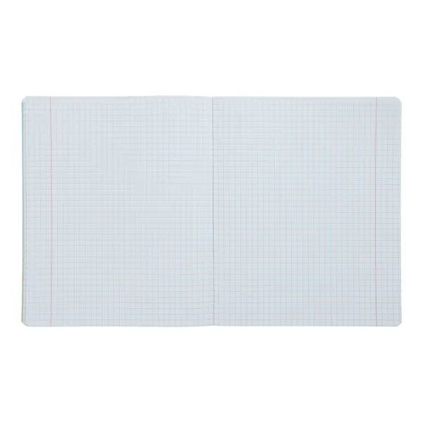 Тетрадь ученическая общая GRADIENT, 48 л, клетка, KIDS LINE ZiBi (ZB.1702-30) - Фото 3